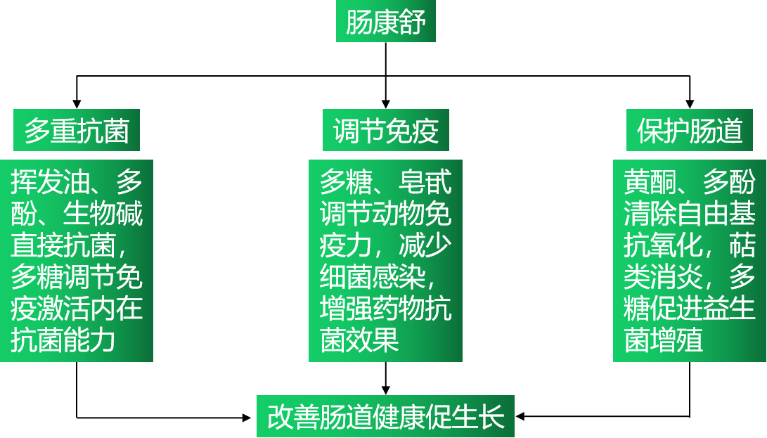 6115ca0dae419
